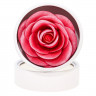 Пудра-румяна Хайлайтер Rosel Cosmetics Glazed Rose 6g R041