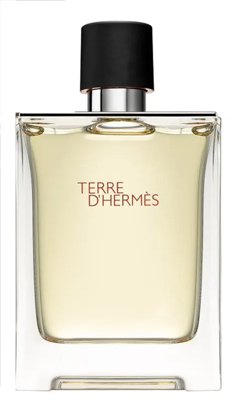 Hermes Terre D'Hermes edt for men 100 ml A Plus