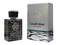 Cavalli Silver for men 100 ml