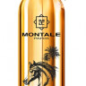 Montale Arabians EDP 100 ml