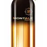Montale So Amber100 ml