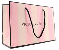 Подарочный пакет Victoria s Secret 22x15cm (M)