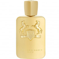 Parfums de Marly Godolphin for men 125 ml