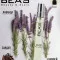 Компактный парфюм Beas Дольче Габбана Intenso for men 10 ml арт. M 233
