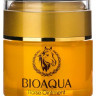 Увлажняющий крем для лица BioAqua с лошадиным маслом Horseoil